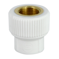 Racord PPR, FI, 20 mm x 1/2", alb